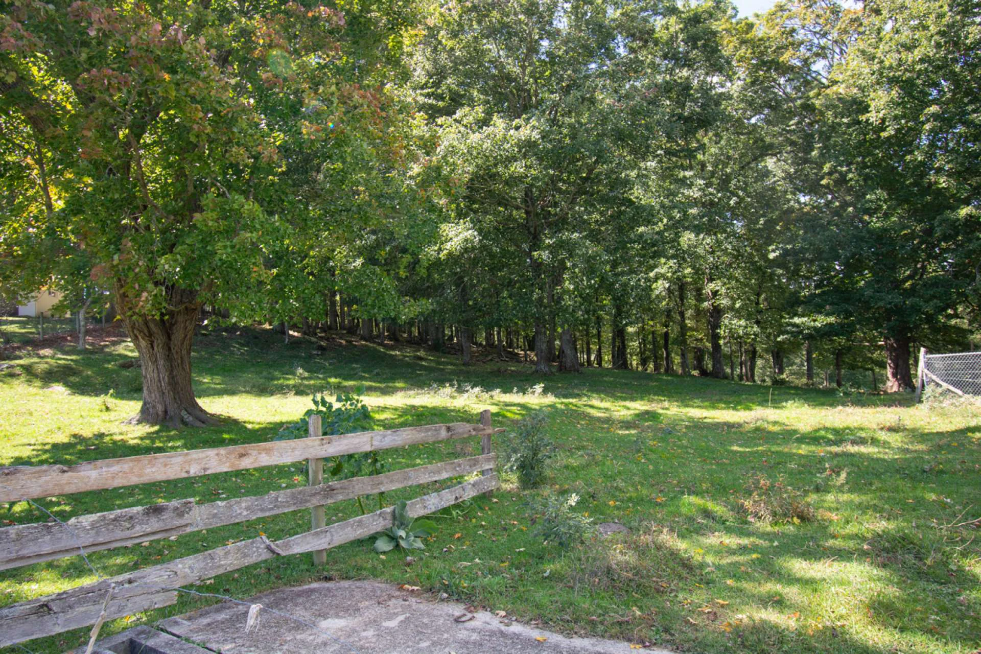 Image number 18 for the current listing