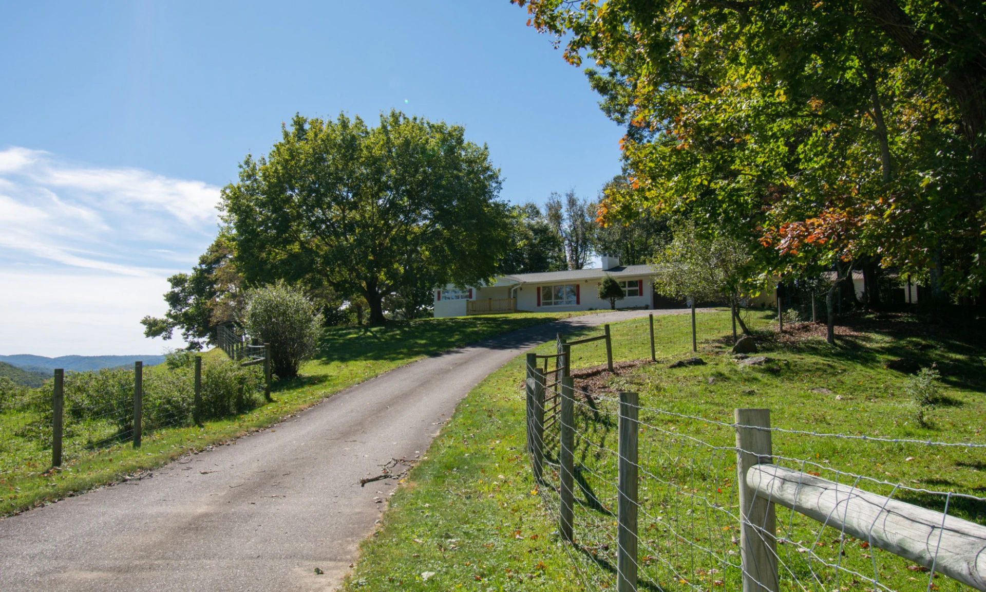 Image number 1 for the current listing