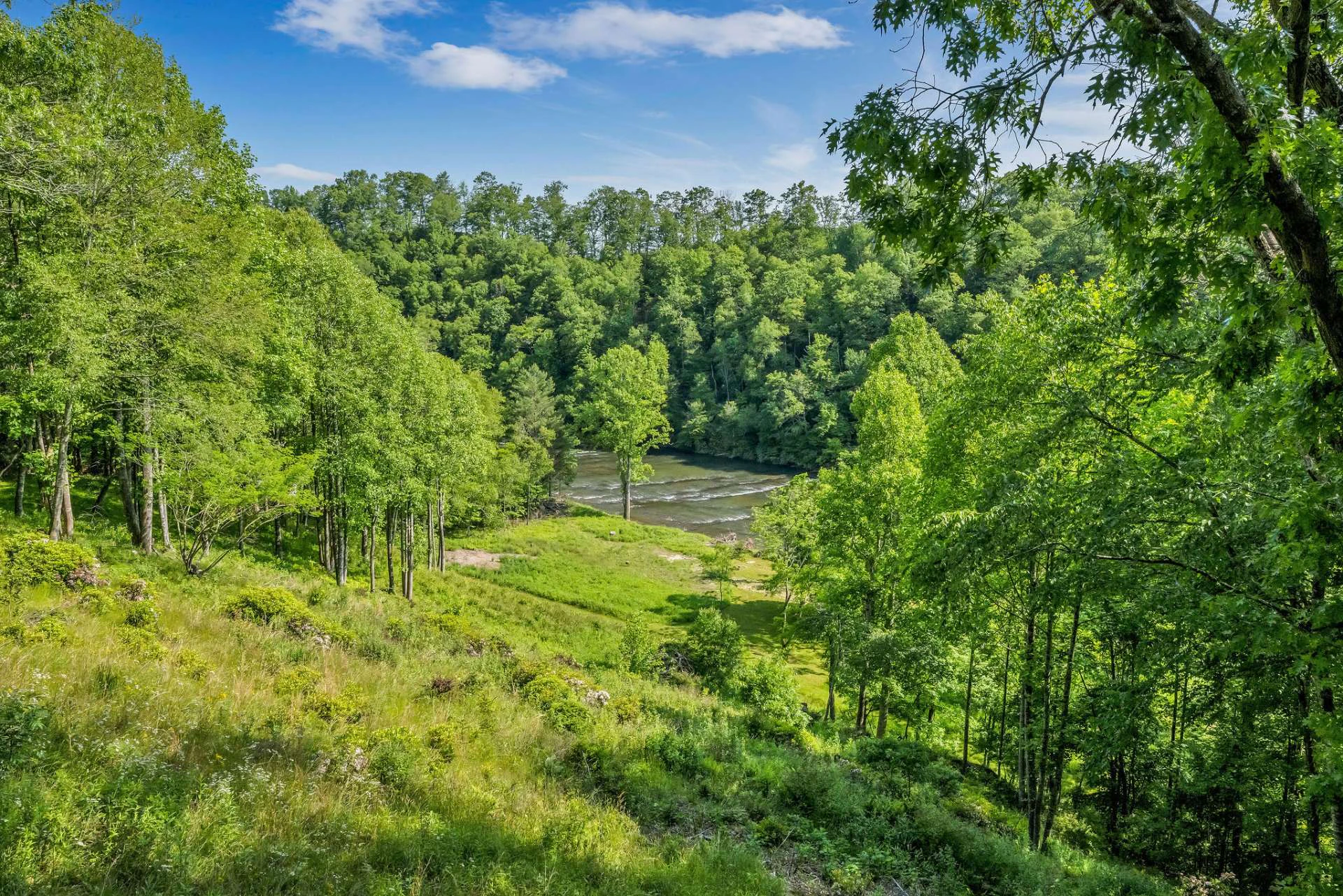 Image number 2 for the current listing