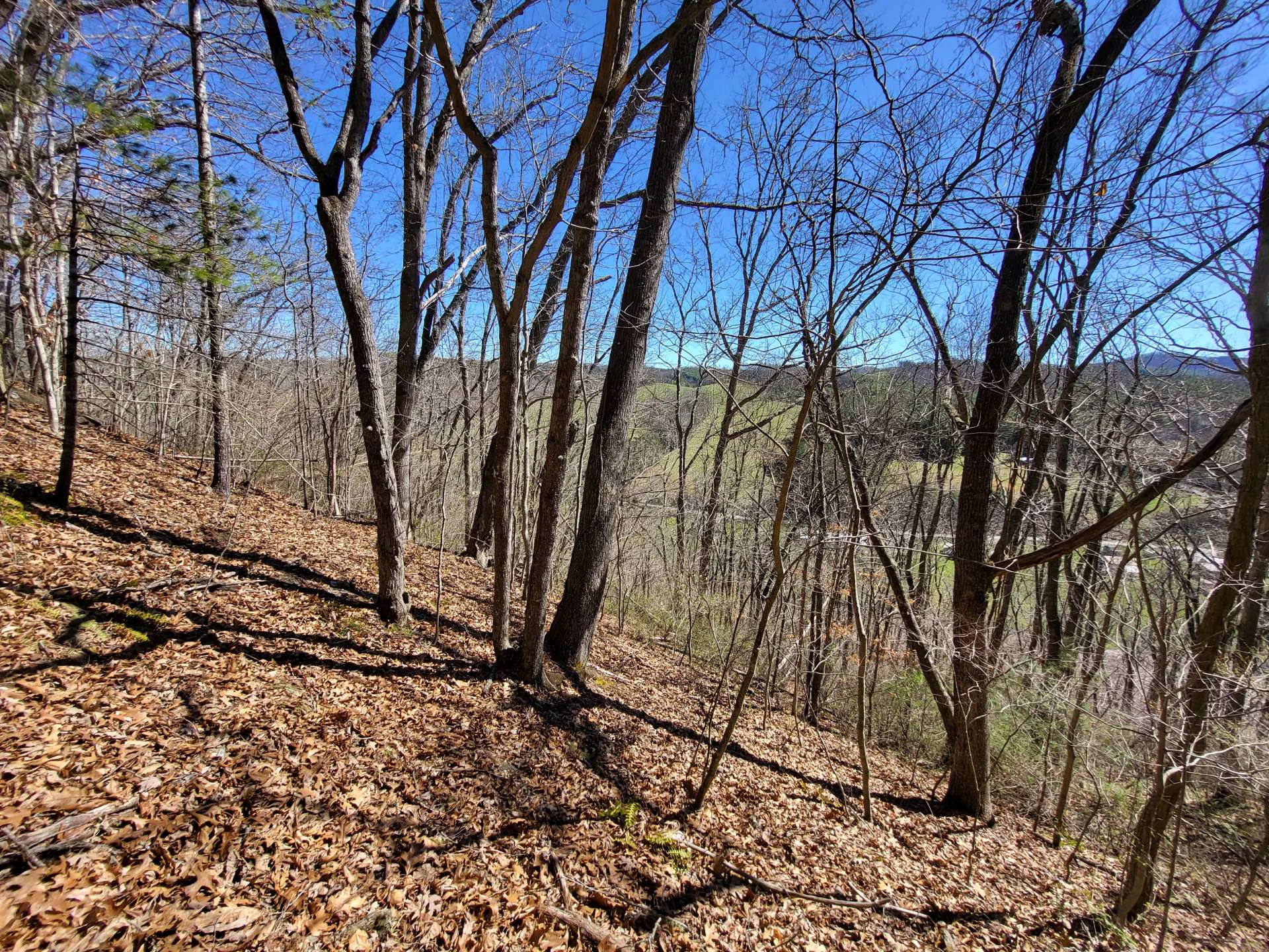 Image number 3 for the current listing