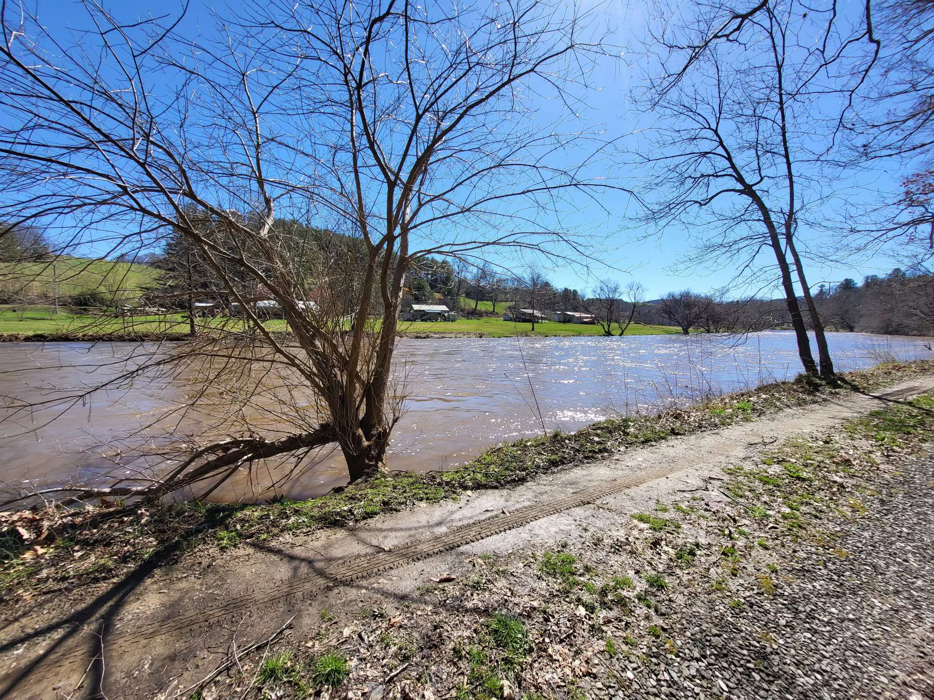 Image number 7 for the current listing