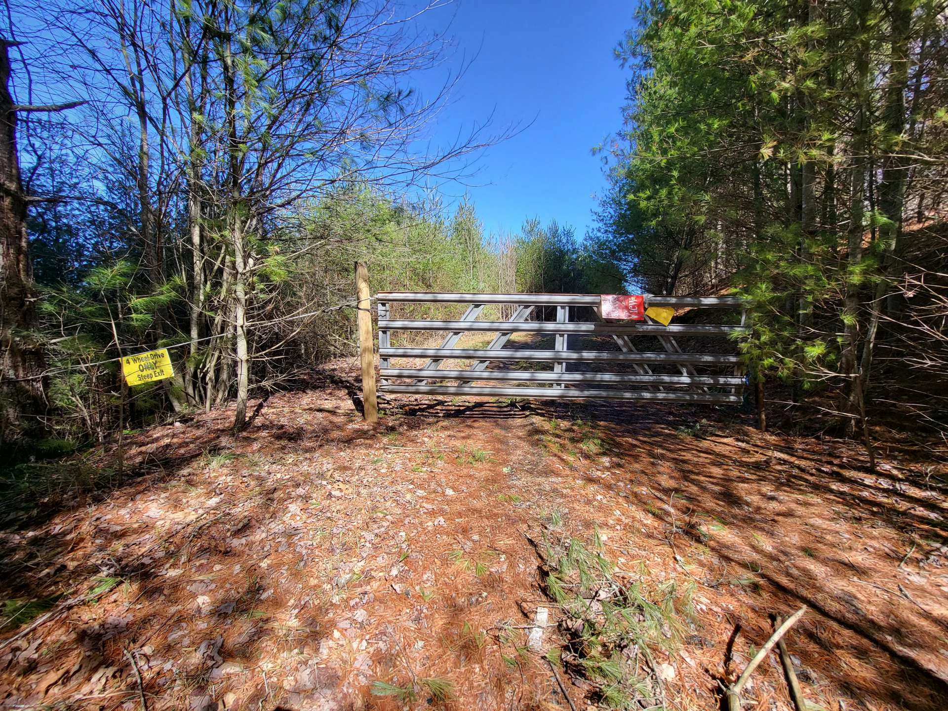 Image number 2 for the current listing