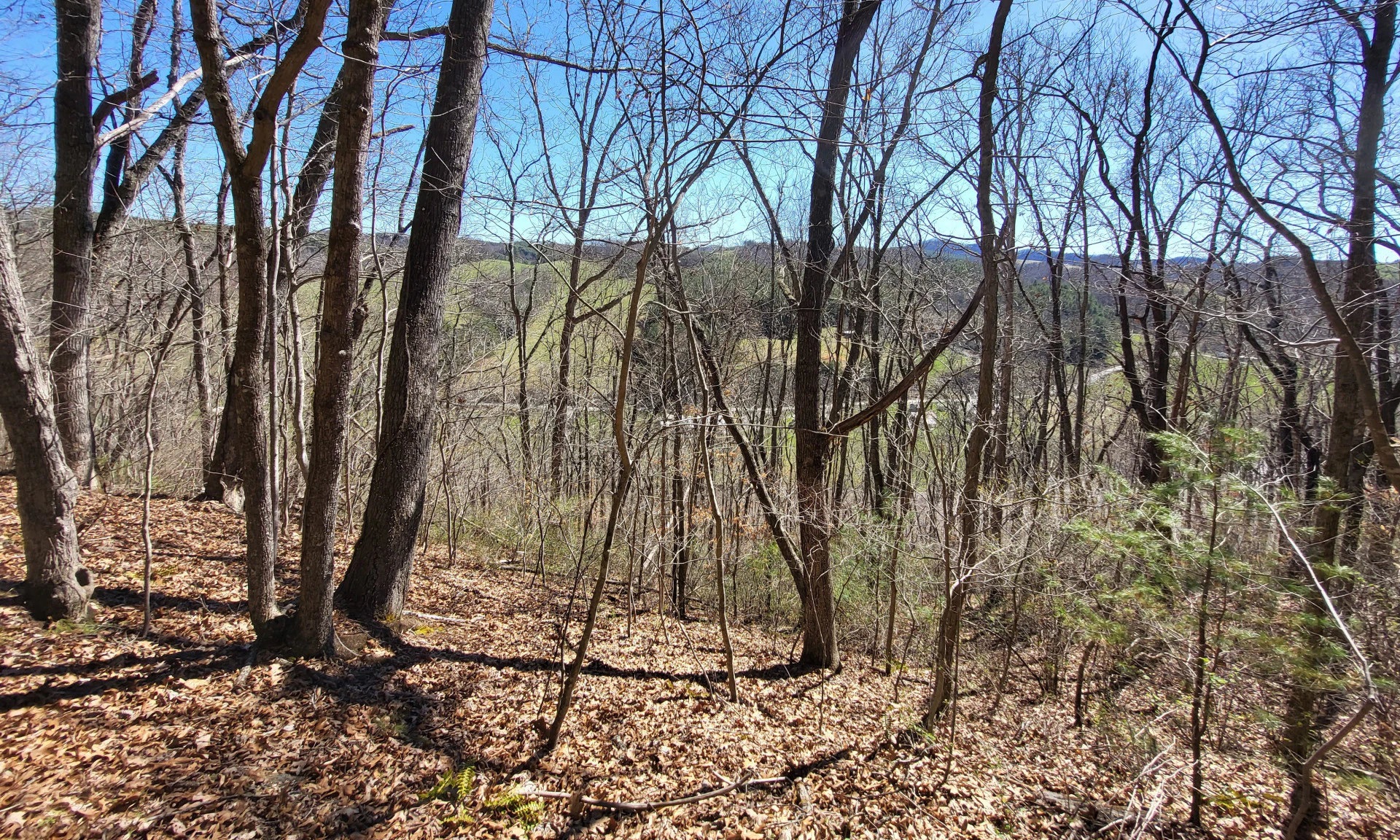 Image number 1 for the current listing