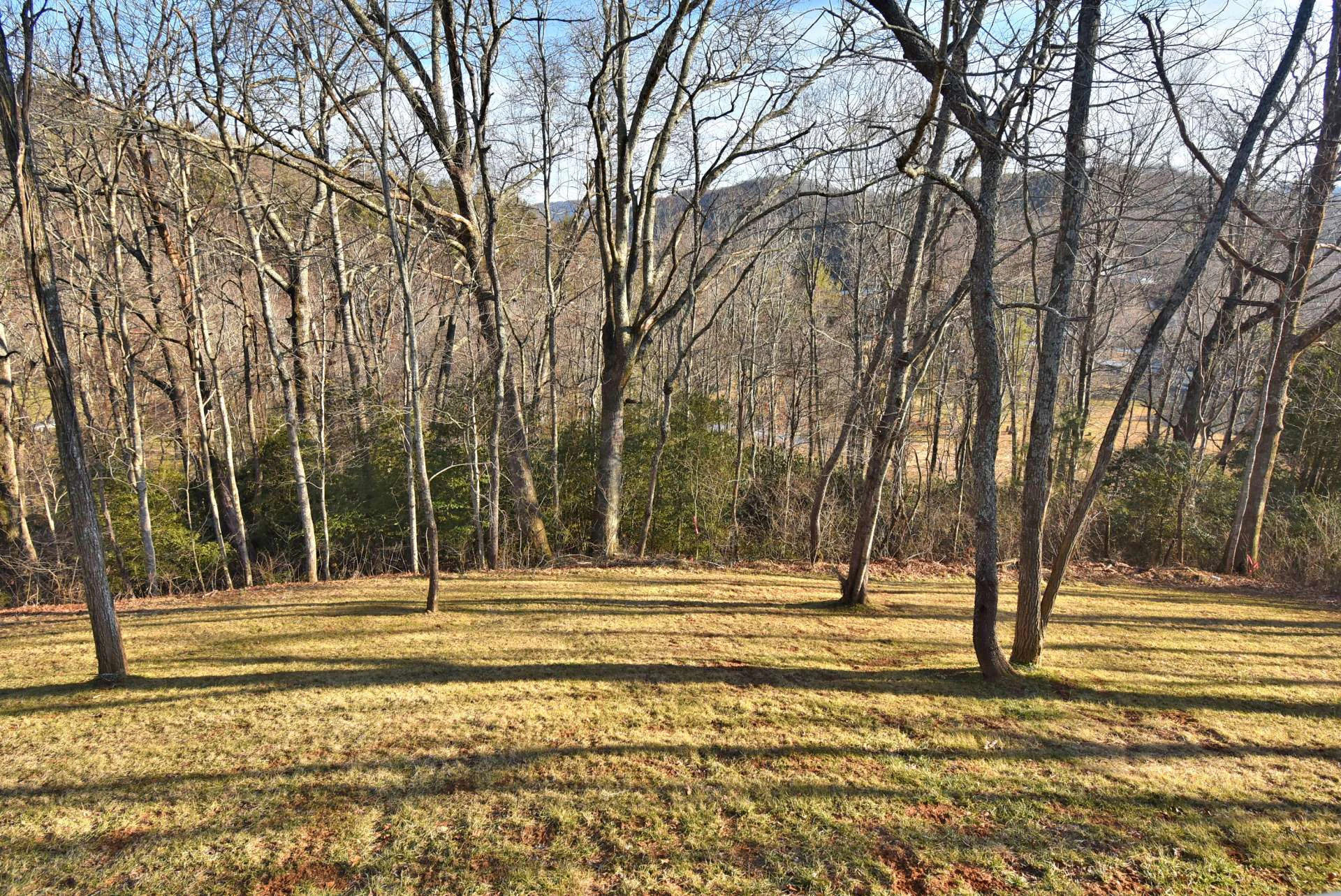 Image number 15 for the current listing