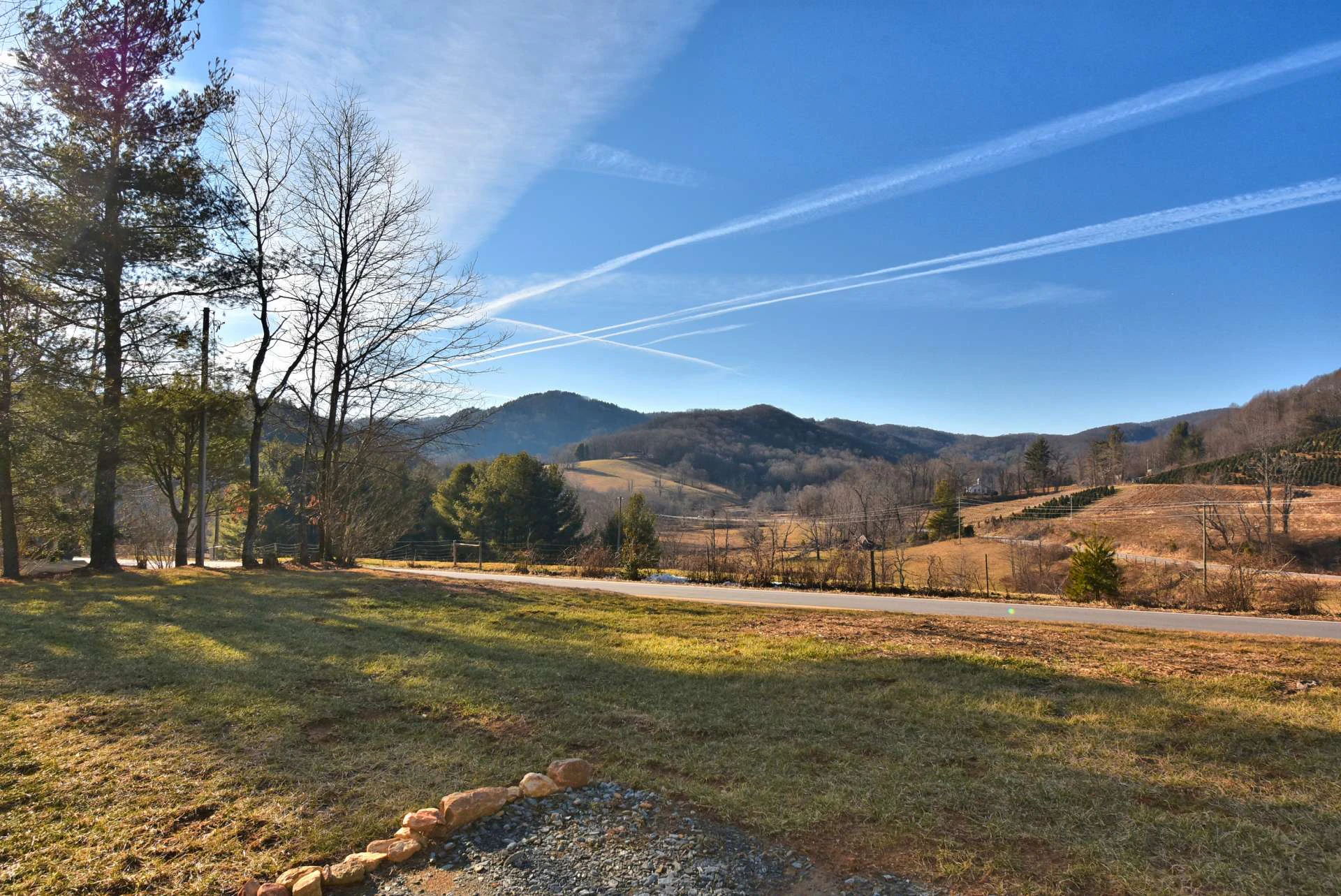 Image number 13 for the current listing