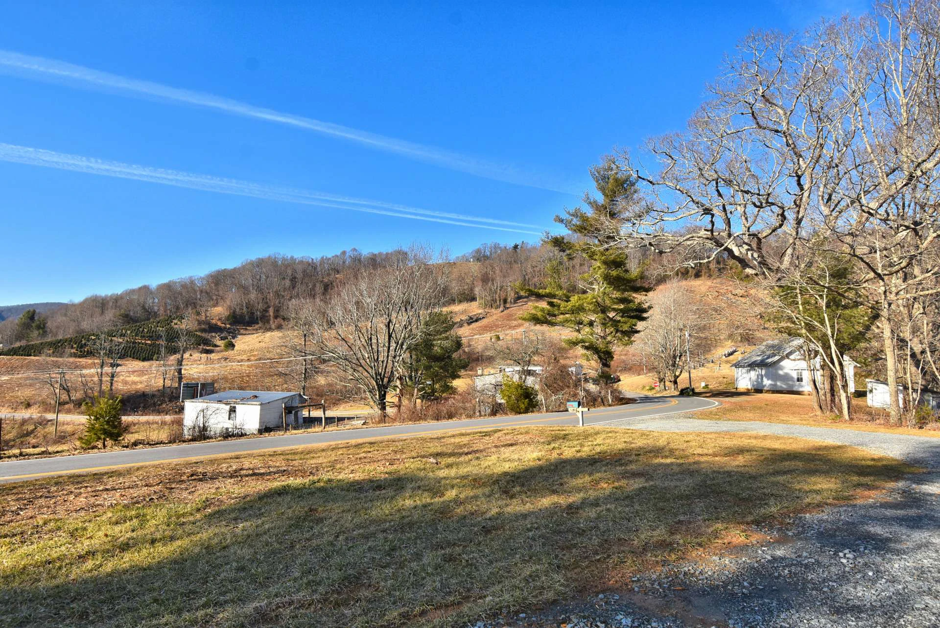 Image number 6 for the current listing