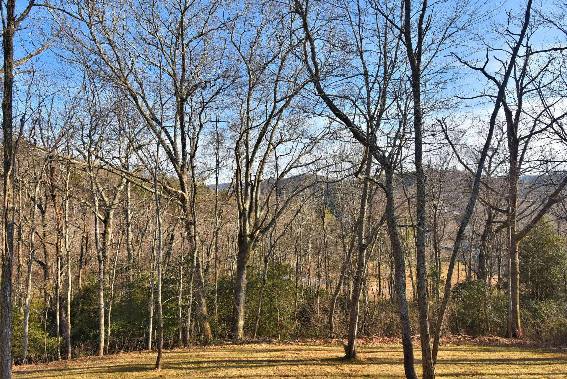 Image number 3 for the current listing
