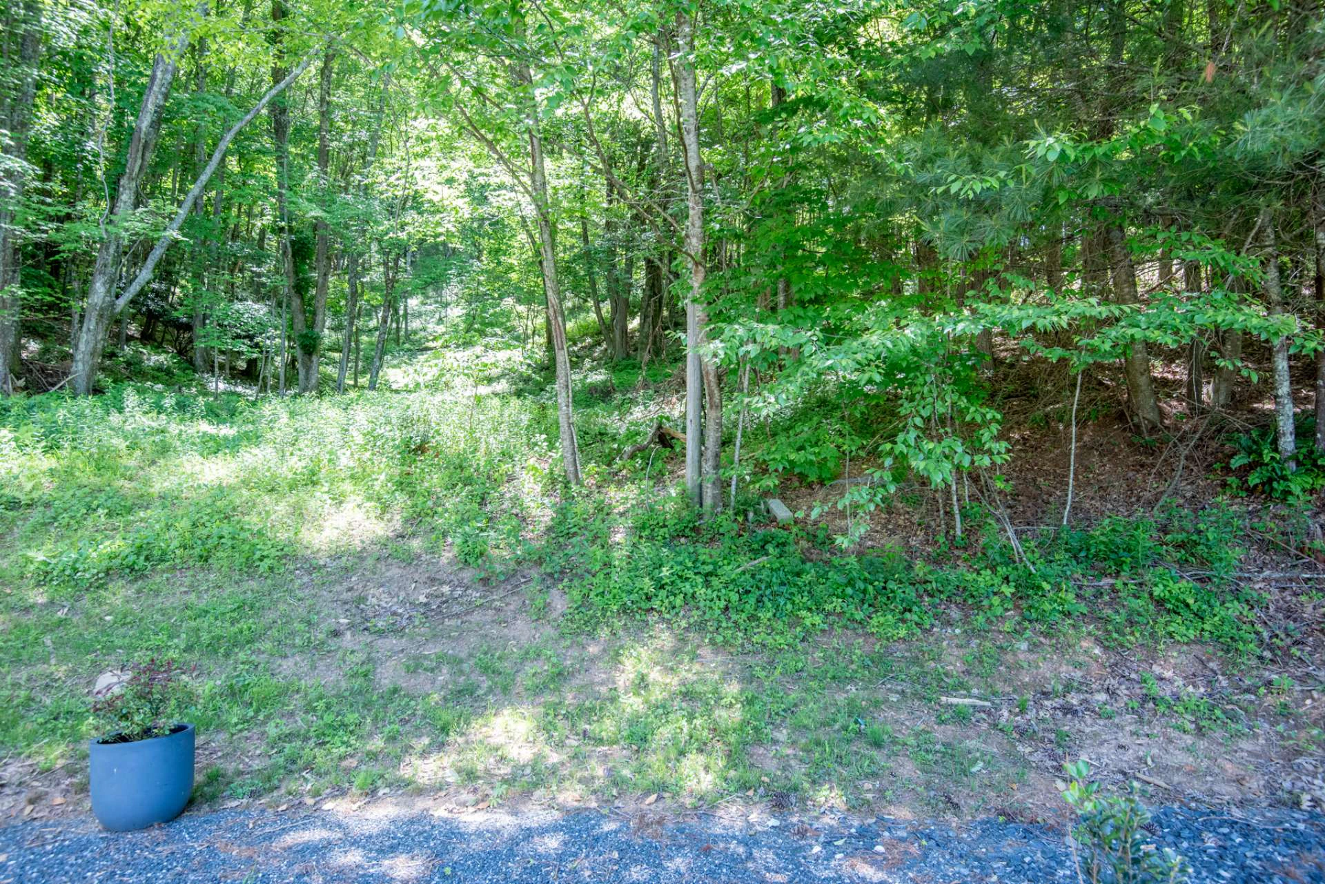 Image number 9 for the current listing