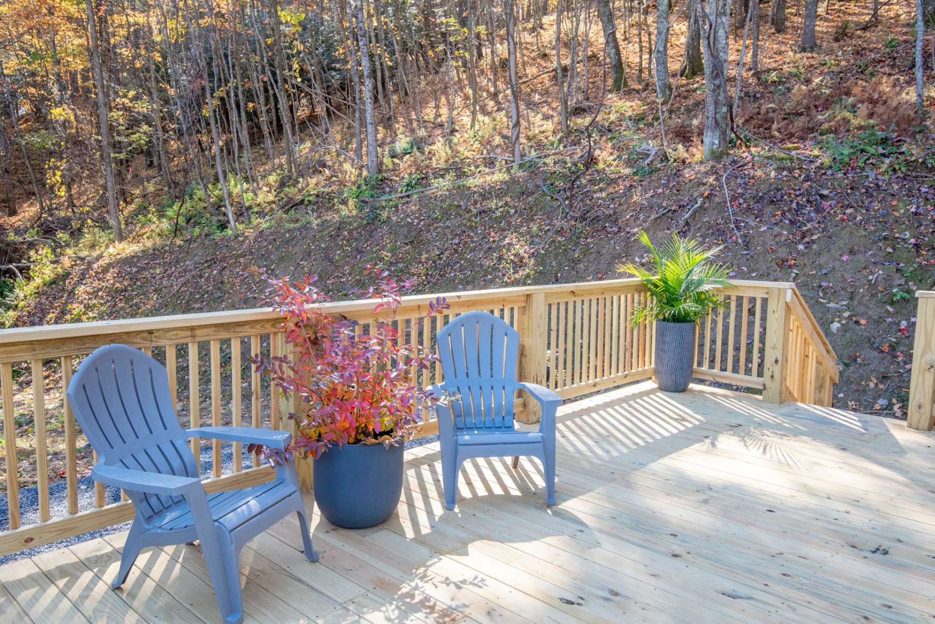 Image number 4 for the current listing