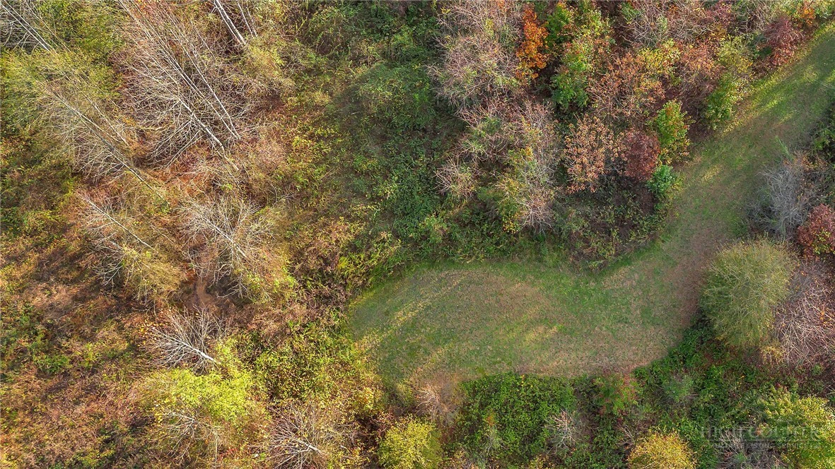 Image number 3 for the current listing