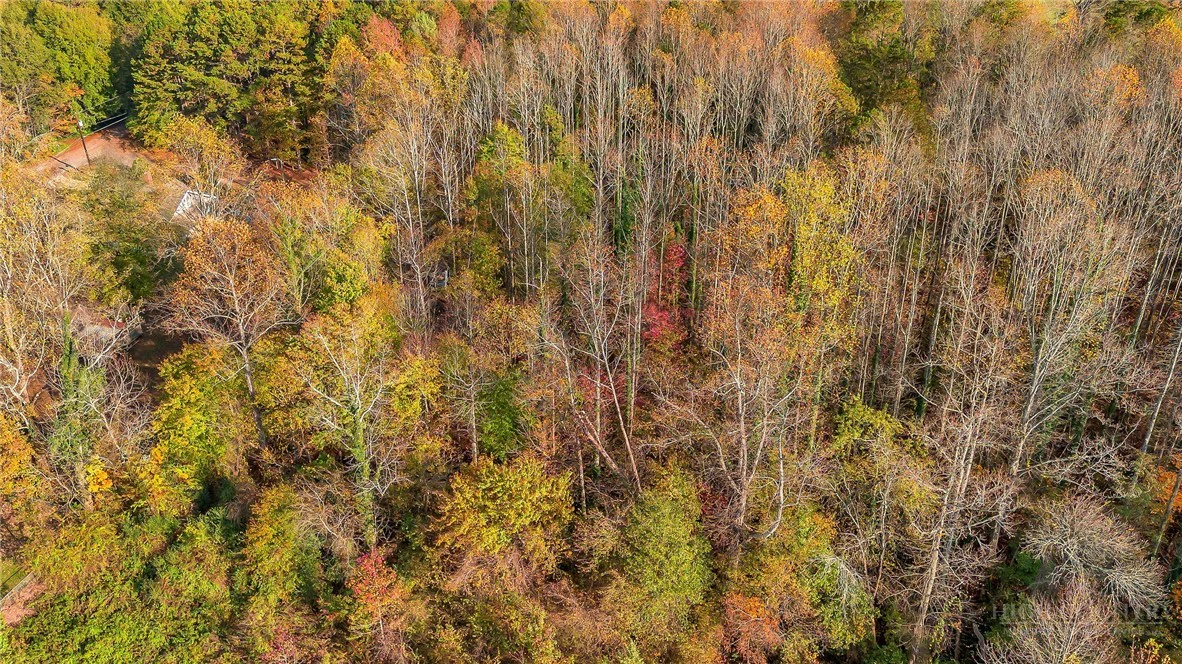 Image number 5 for the current listing