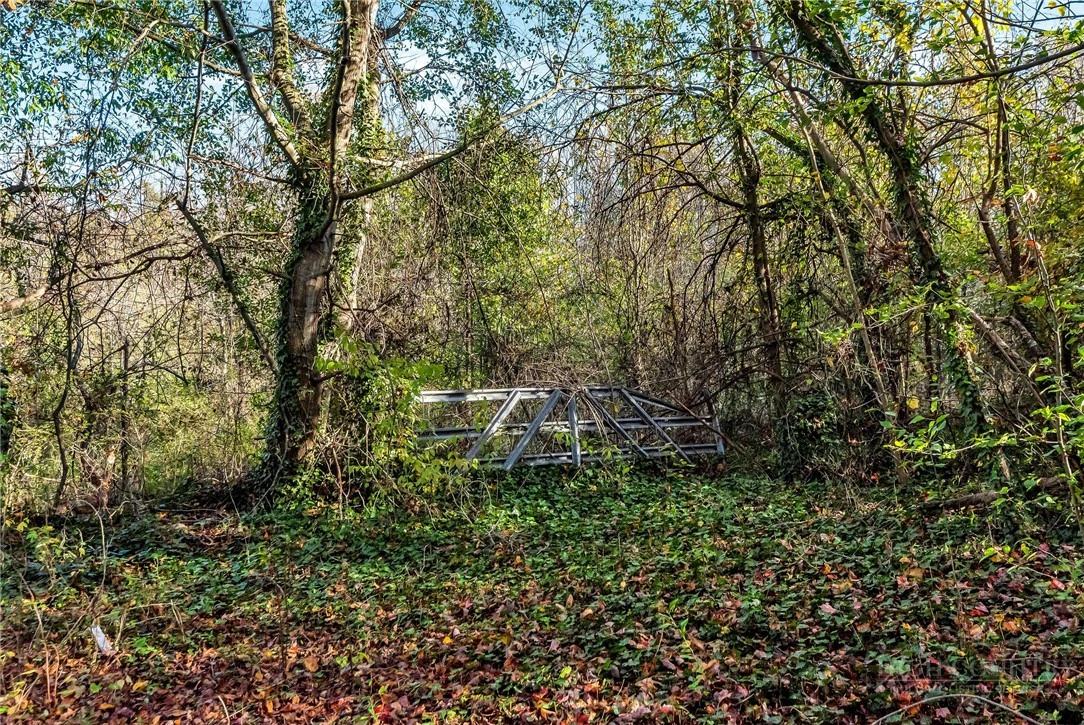 Image number 9 for the current listing
