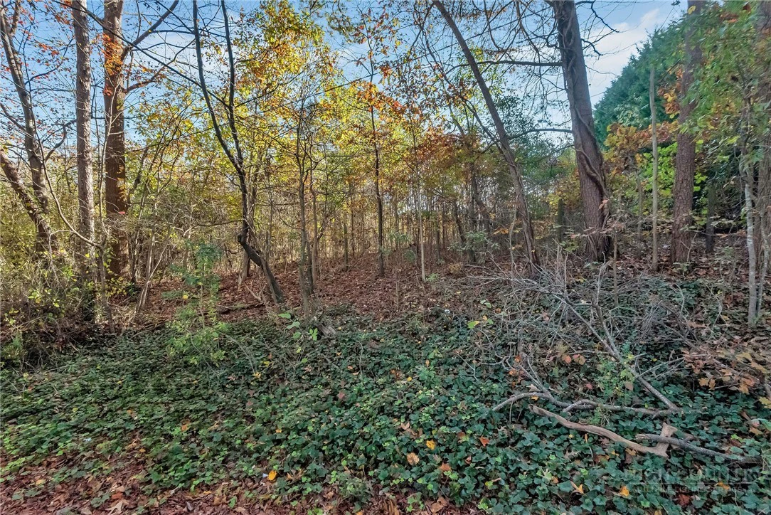 Image number 10 for the current listing