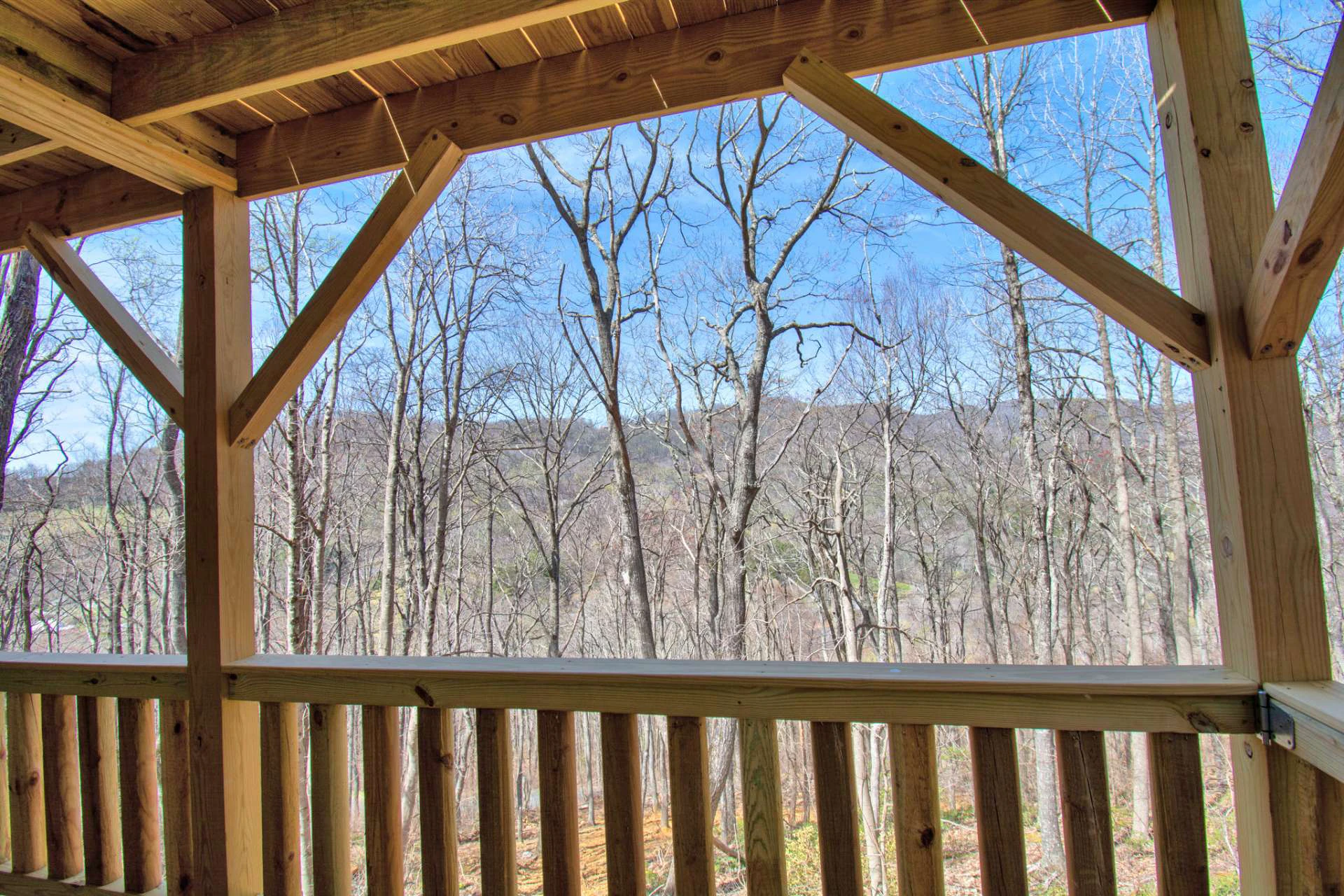 Image number 3 for the current listing
