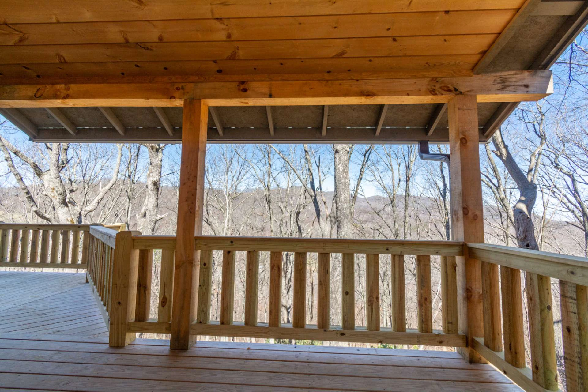 Image number 10 for the current listing