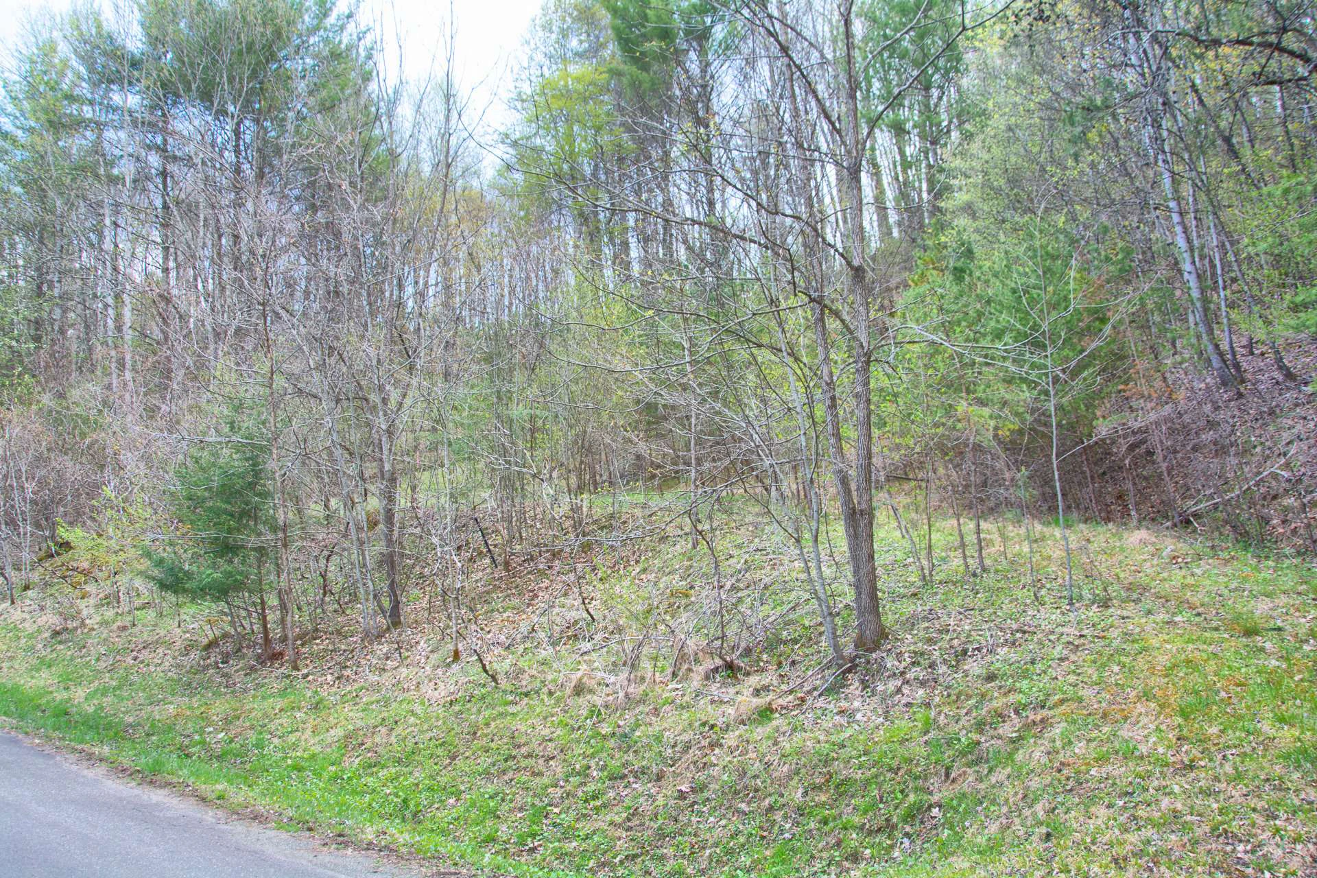 Image number 5 for the current listing