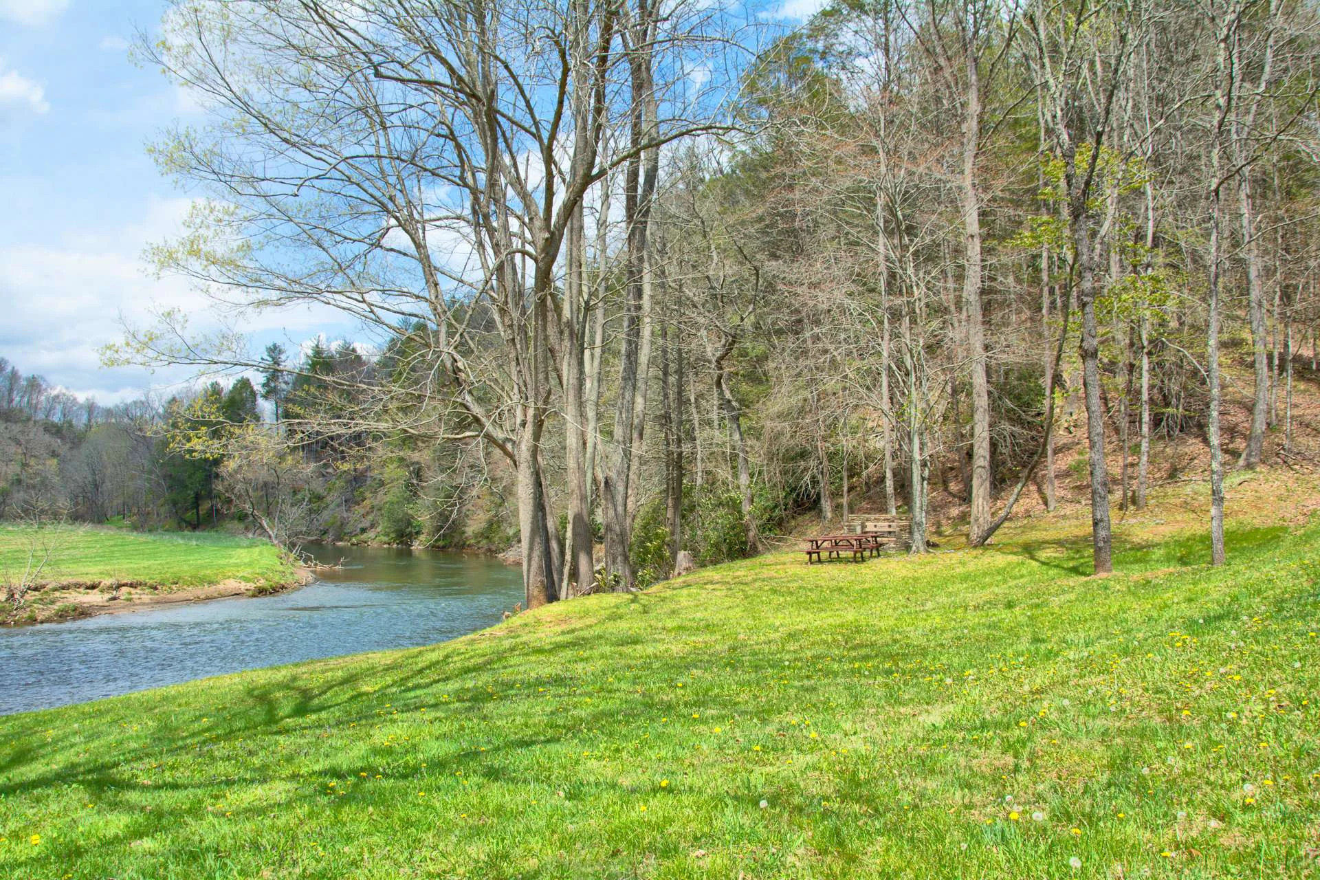Image number 2 for the current listing