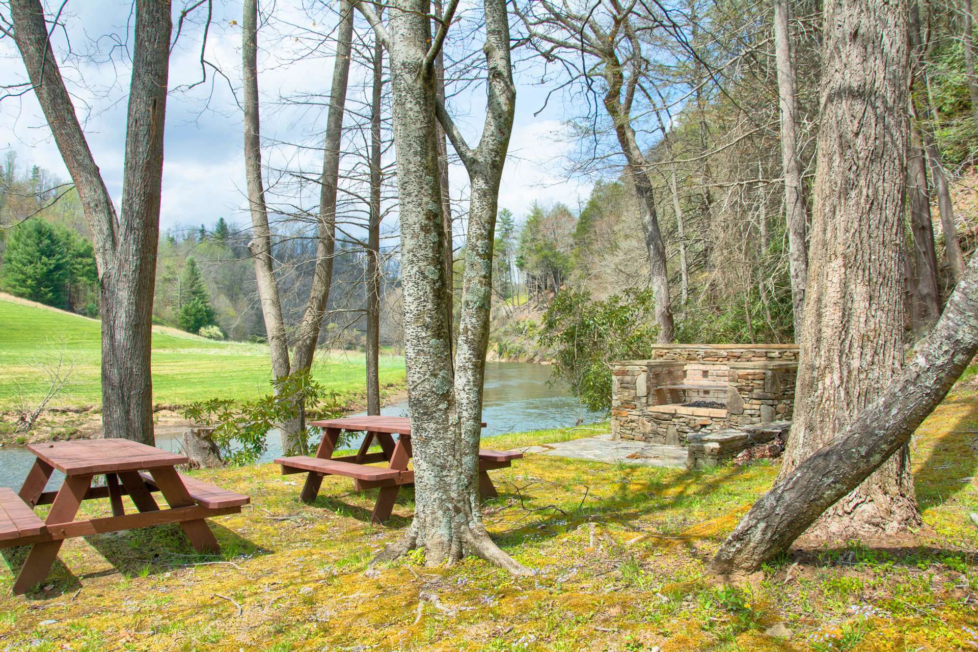 Image number 3 for the current listing