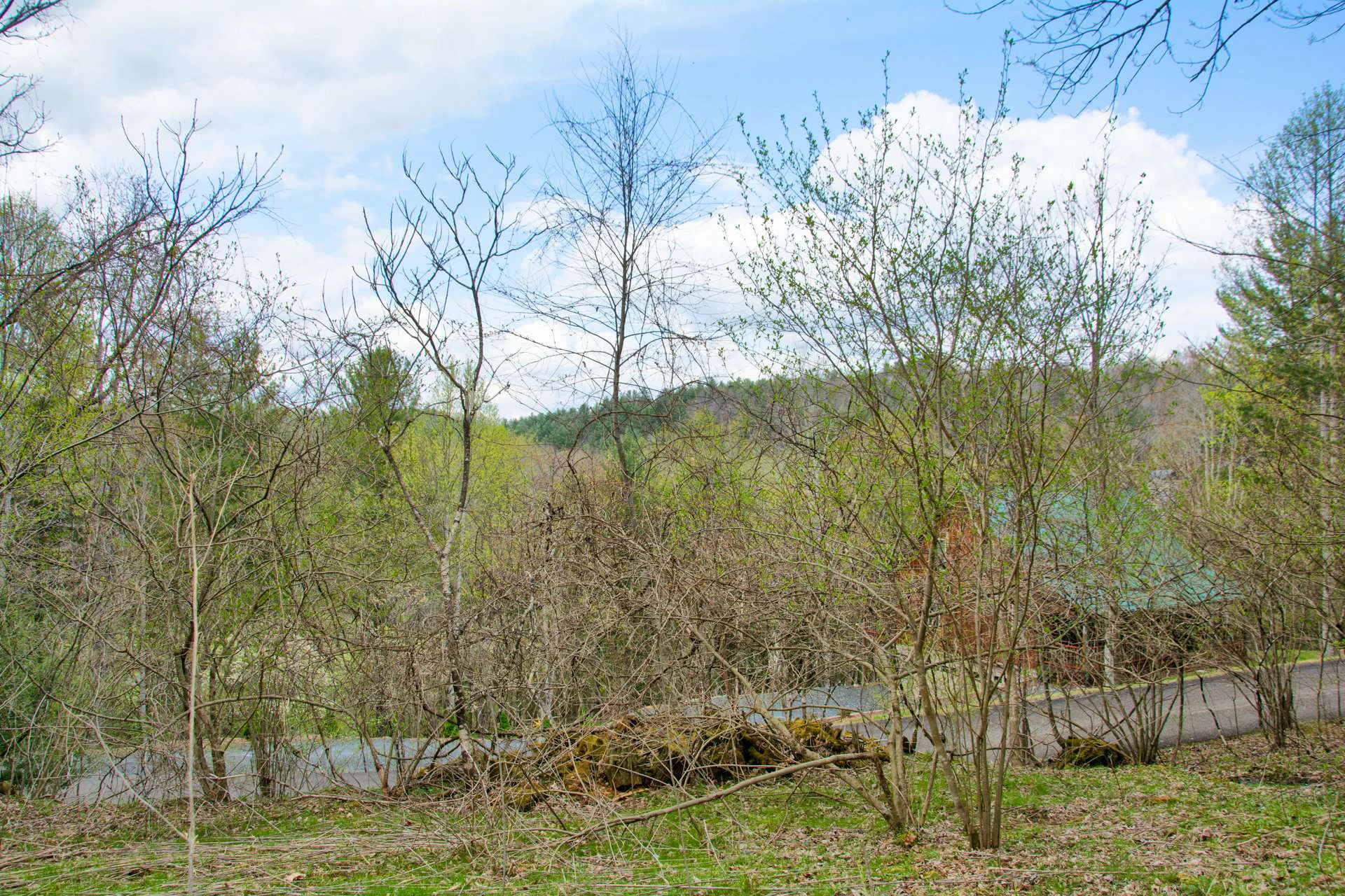 Image number 6 for the current listing