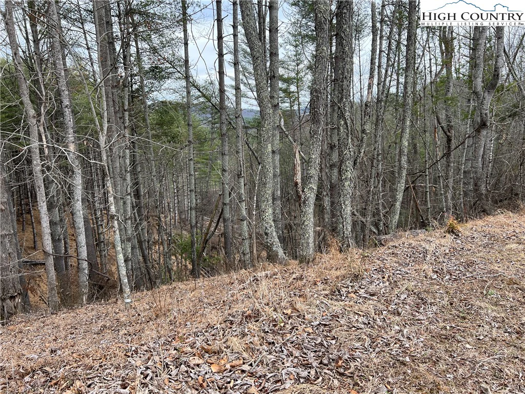Image number 1 for the current listing
