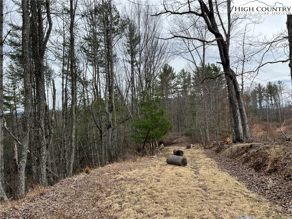 Image number 5 for the current listing