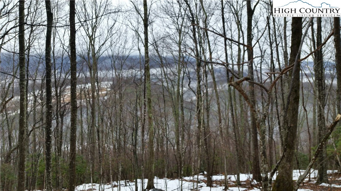Image number 4 for the current listing