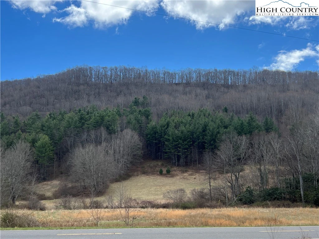 Image number 1 for the current listing