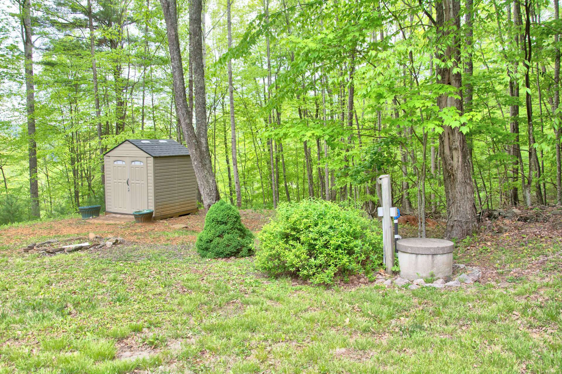 Image number 7 for the current listing