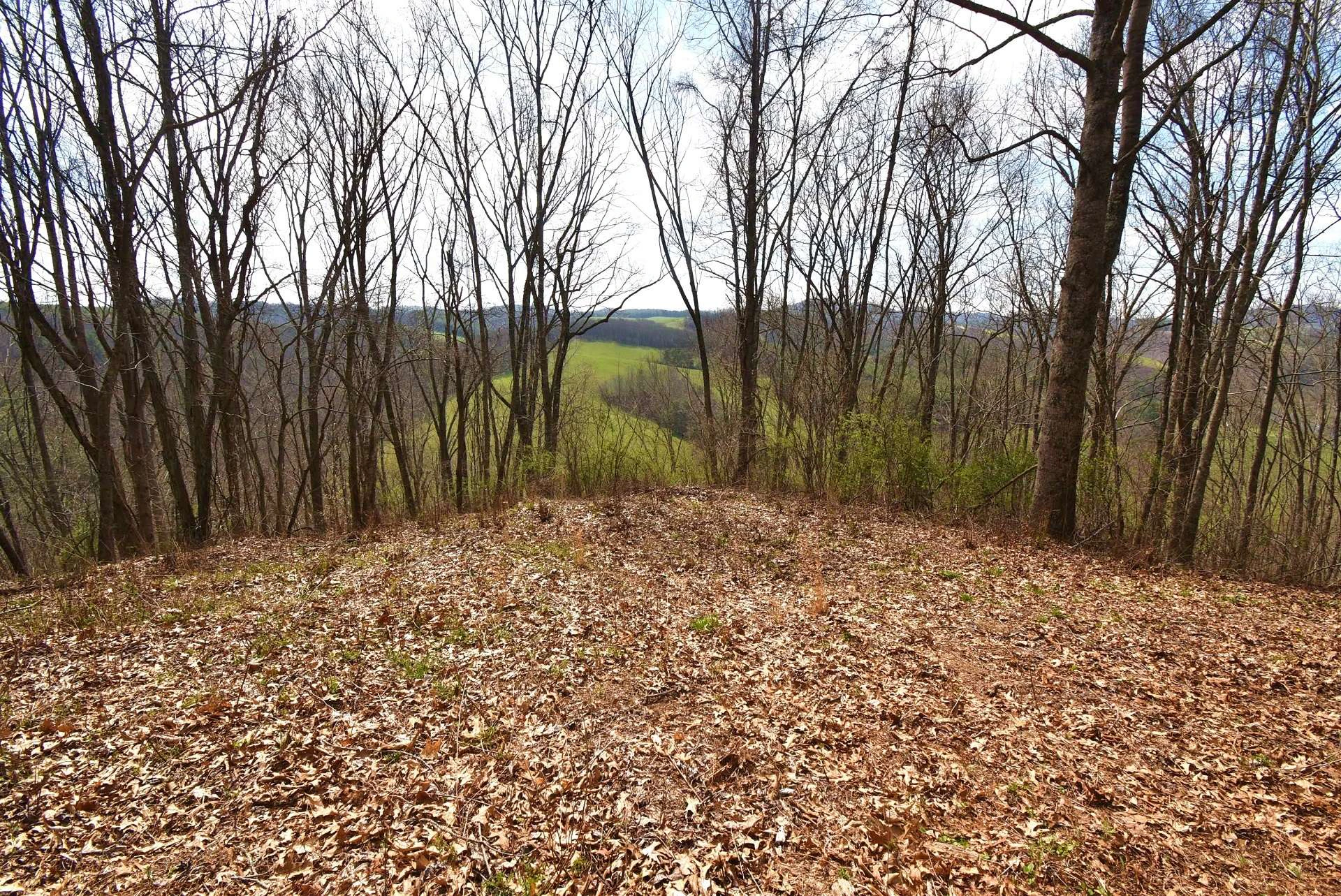 Image number 3 for the current listing