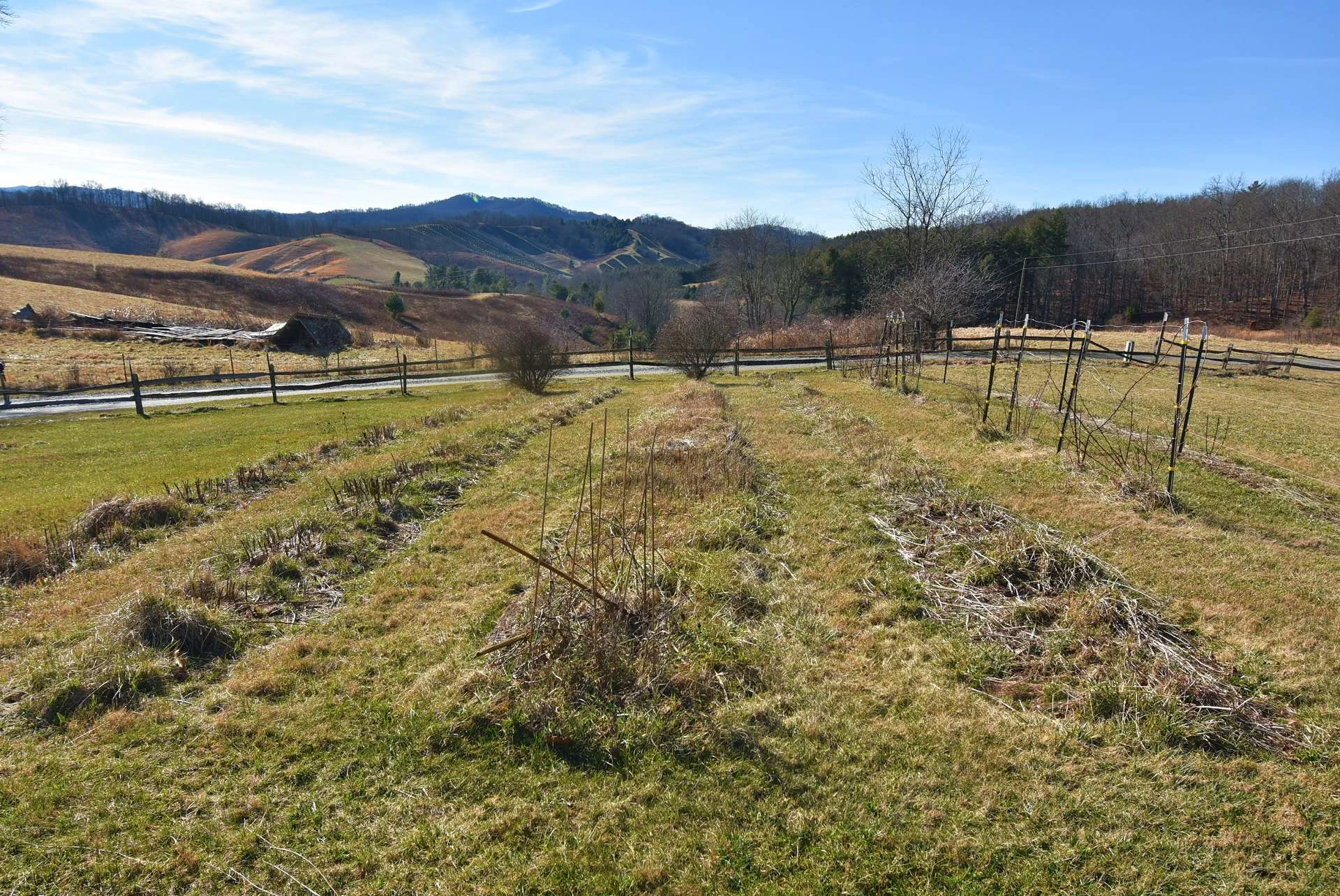 Image number 2 for the current listing