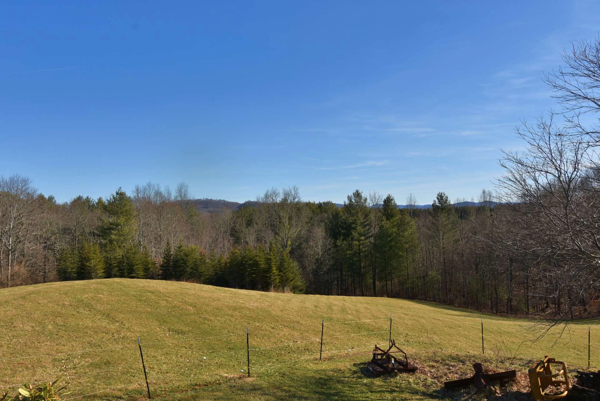 Image number 14 for the current listing