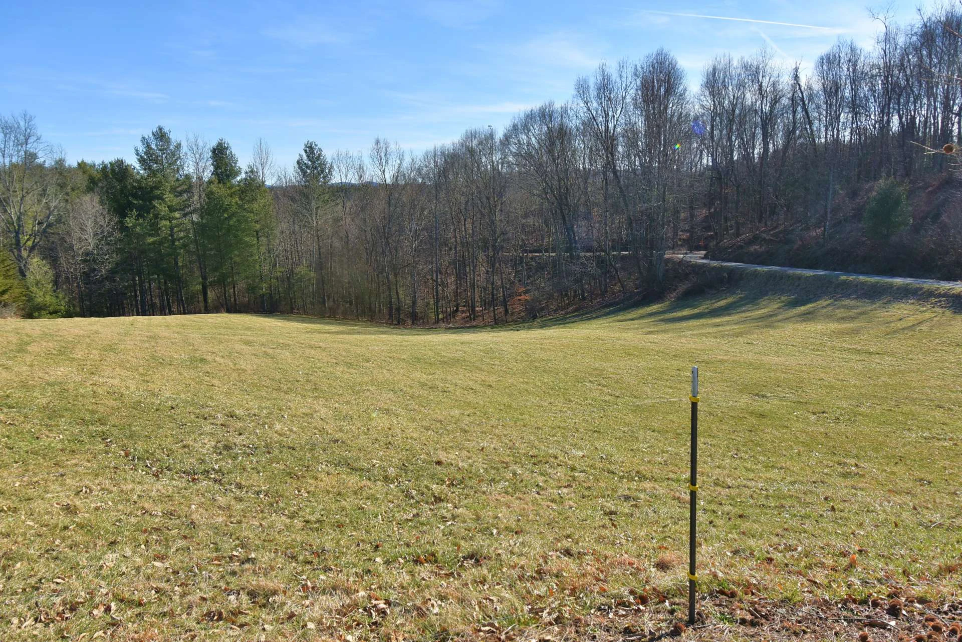 Image number 13 for the current listing