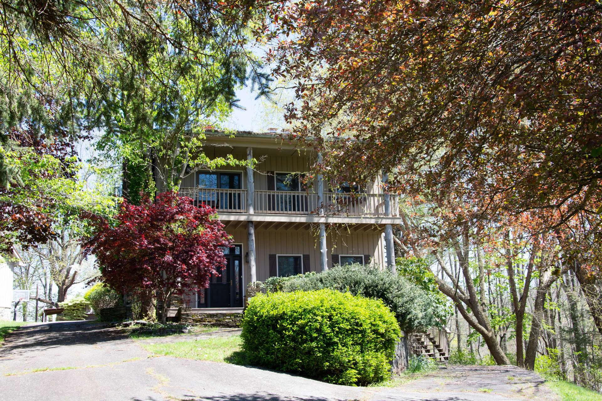 Image number 11 for the current listing
