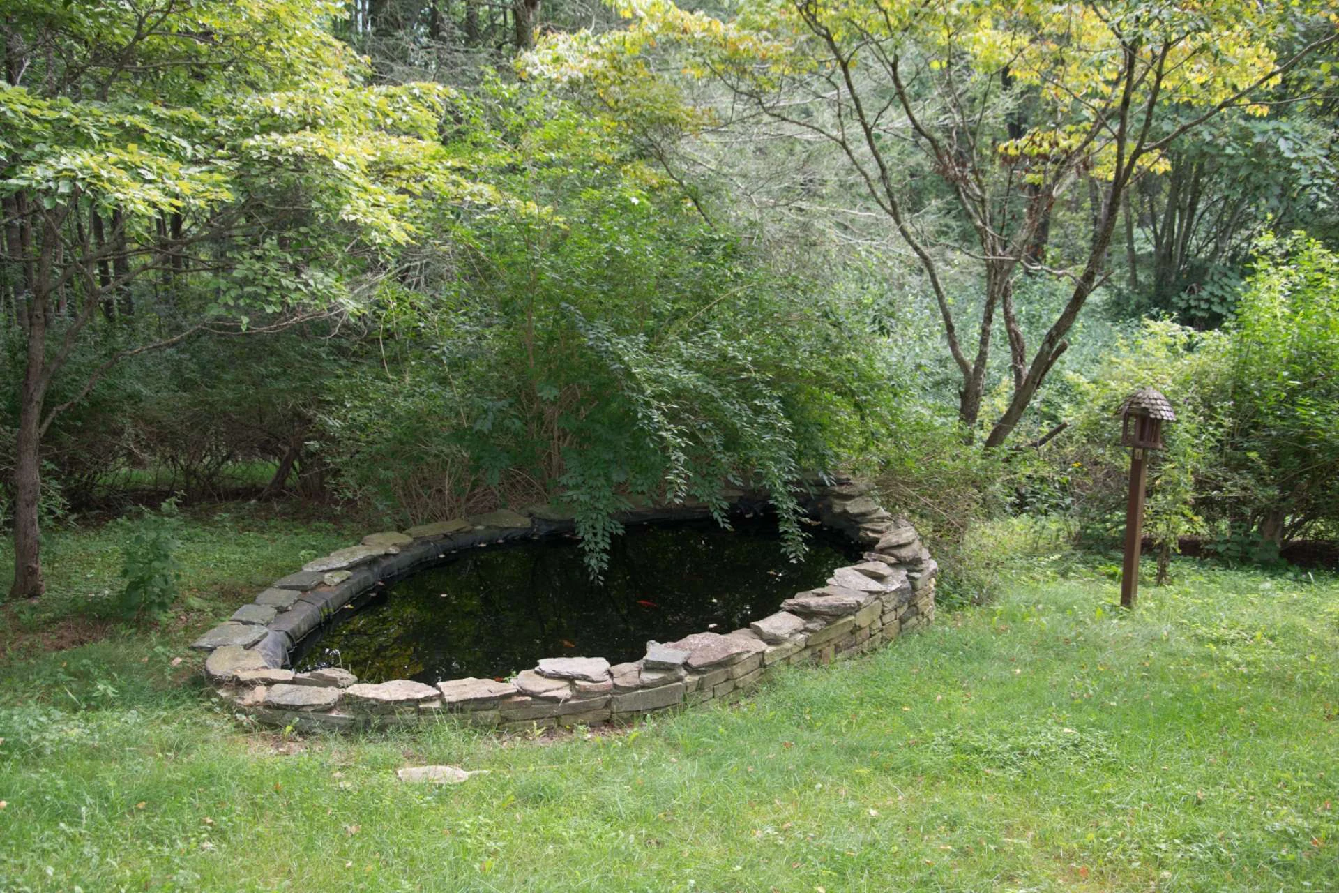 Image number 6 for the current listing