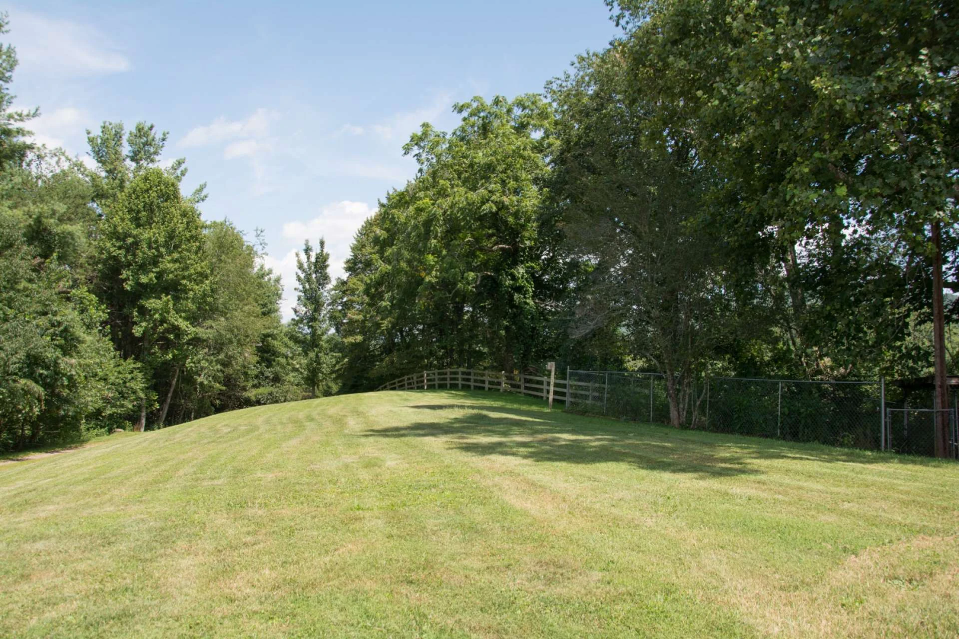 Image number 7 for the current listing