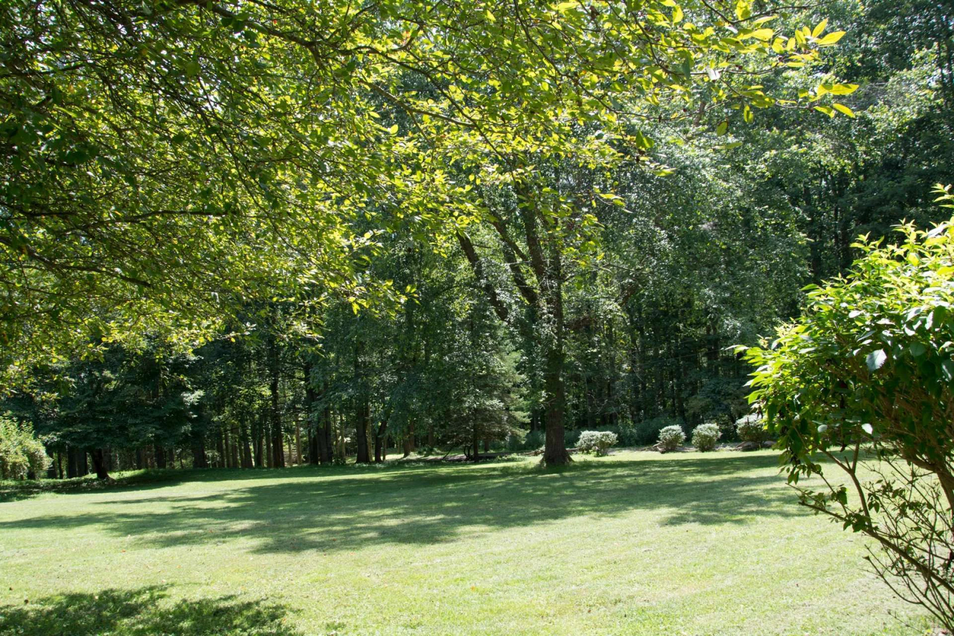 Image number 4 for the current listing