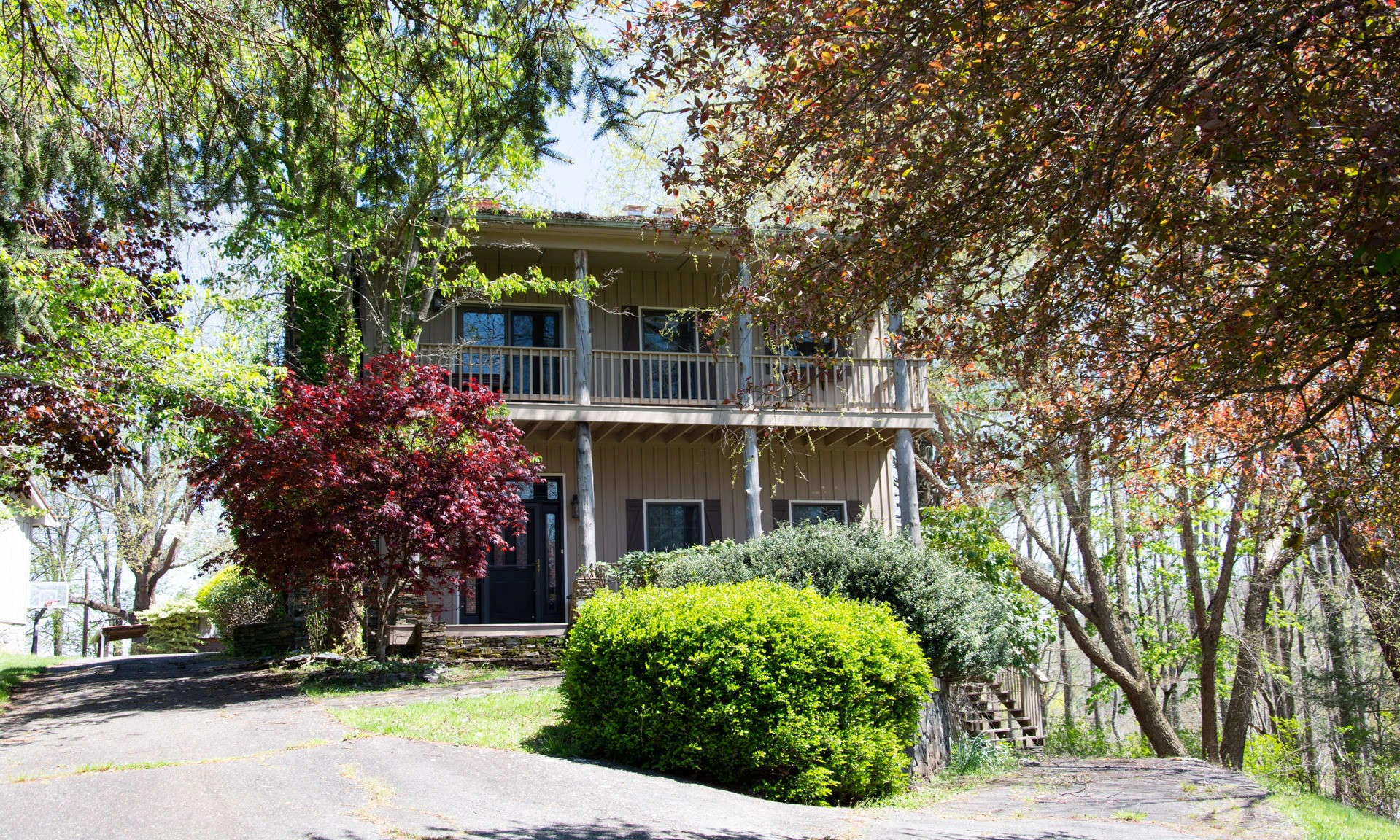 Image number 1 for the current listing
