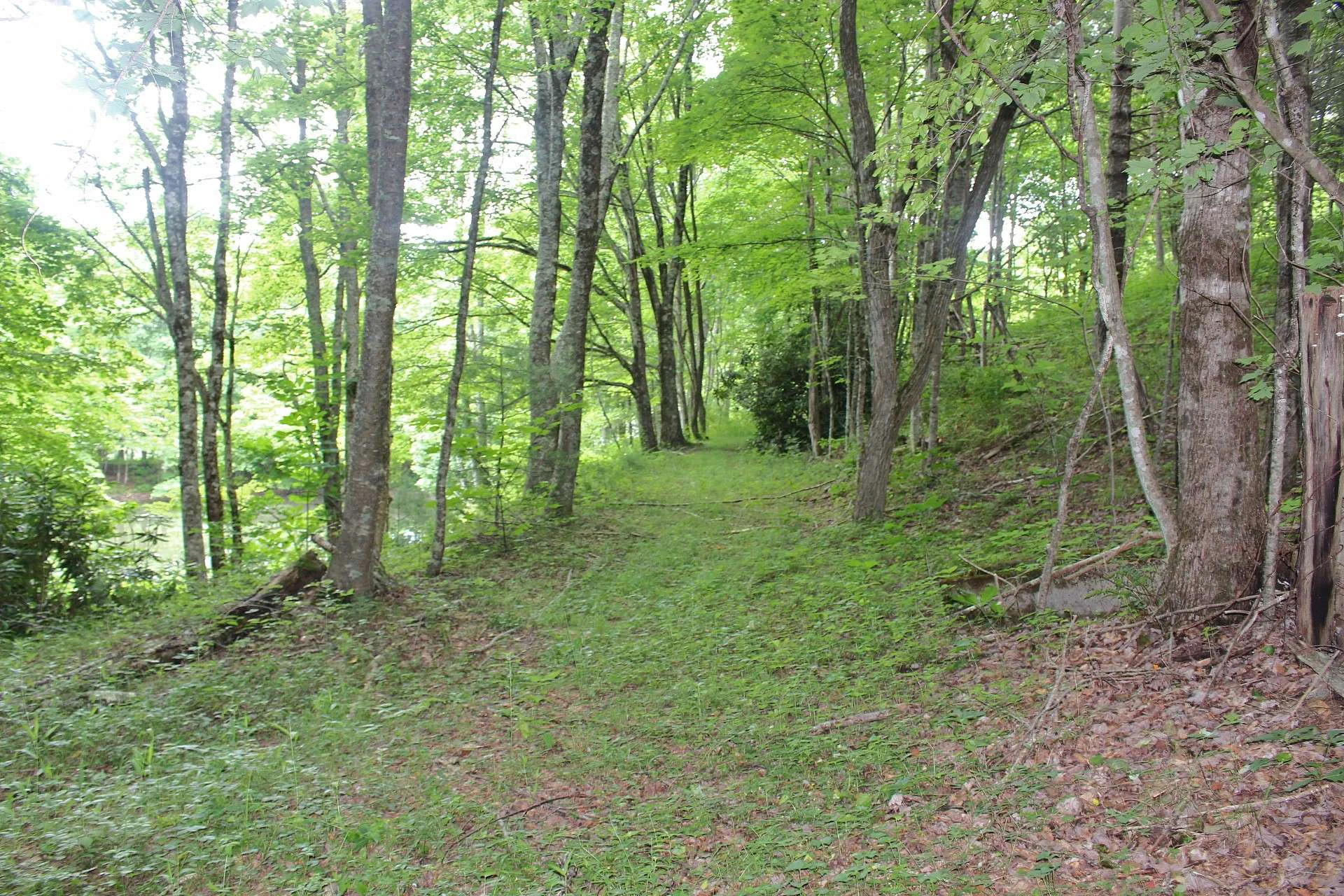 Image number 7 for the current listing