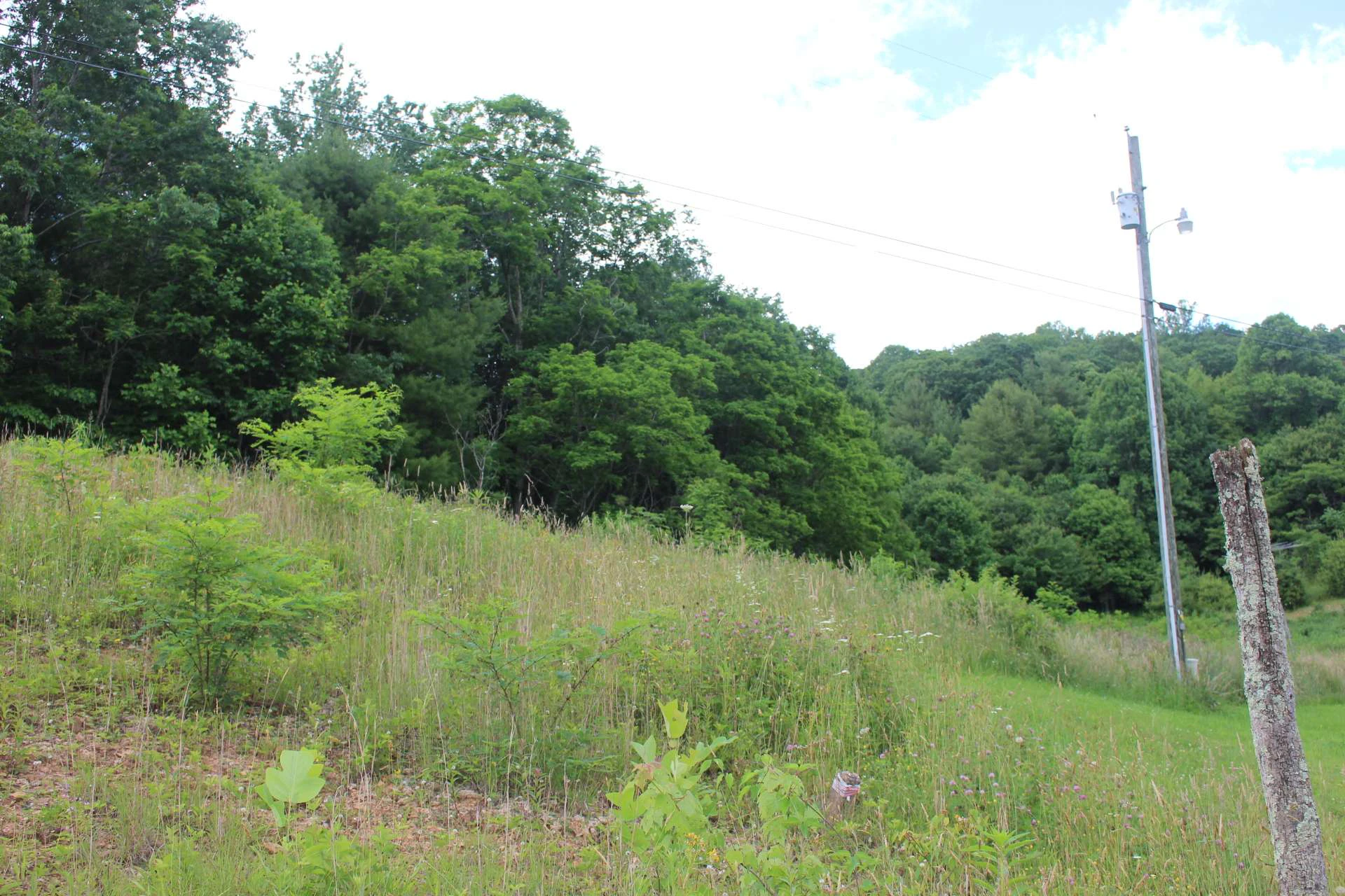 Image number 12 for the current listing