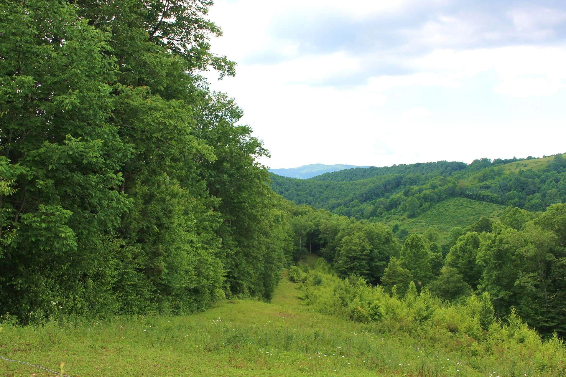 Image number 11 for the current listing