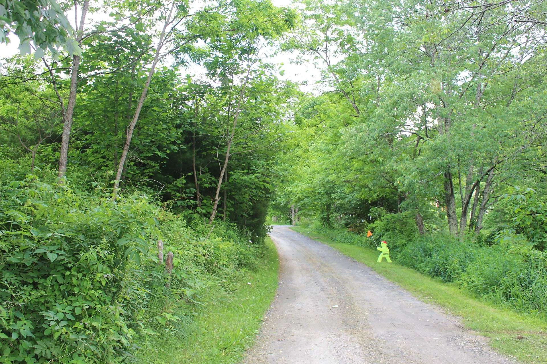 Image number 2 for the current listing