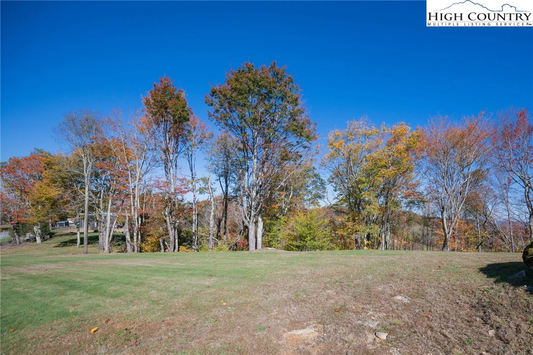 Image number 1 for the current listing