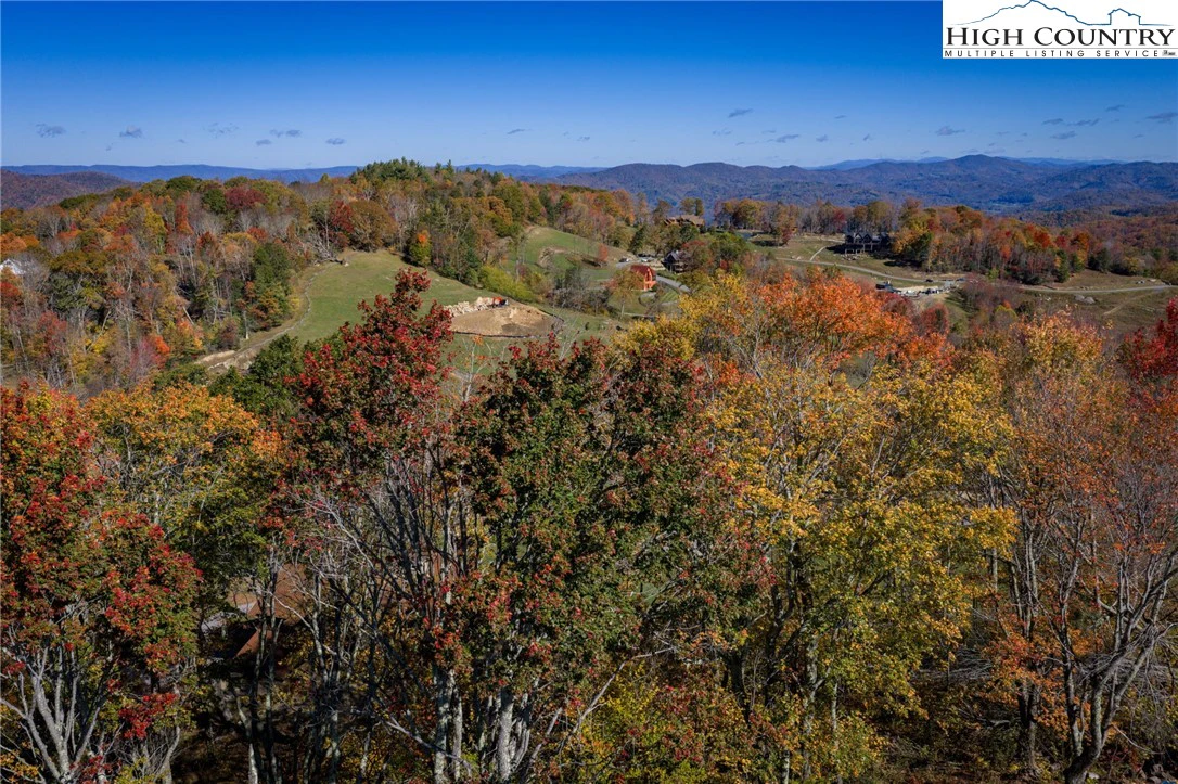 Image number 14 for the current listing
