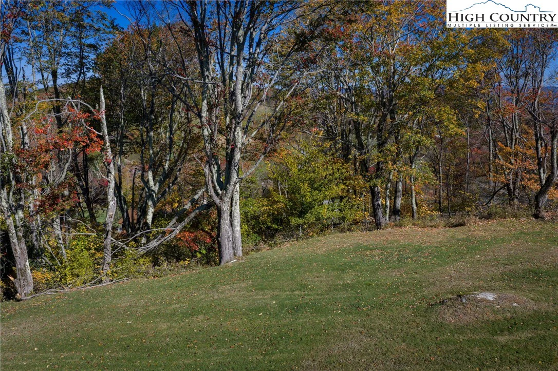 Image number 13 for the current listing