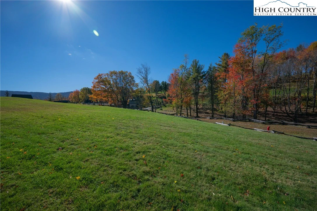 Image number 11 for the current listing