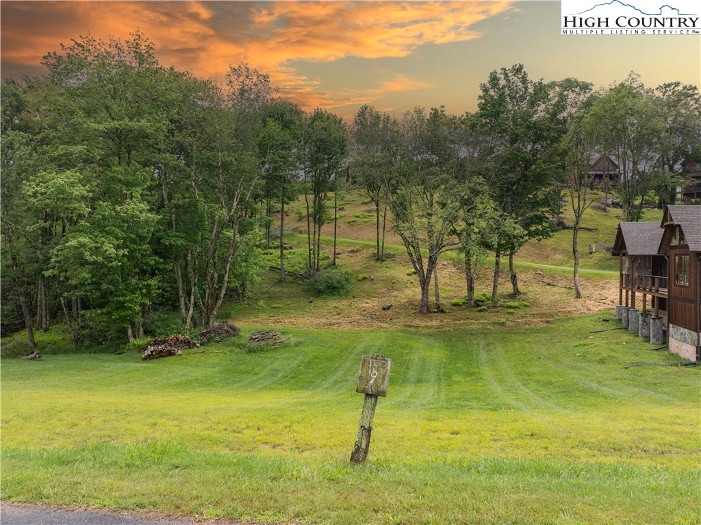 Image number 1 for the current listing