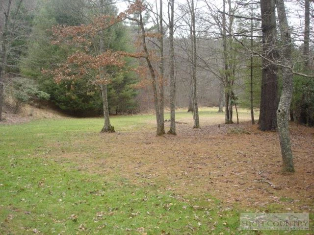 Image number 5 for the current listing
