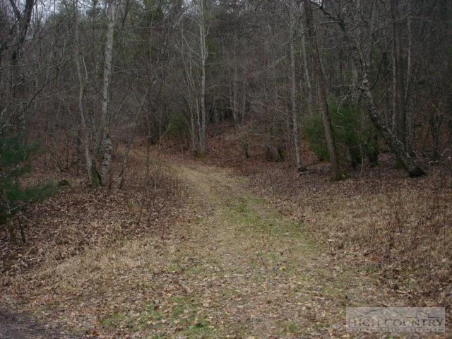 Image number 6 for the current listing