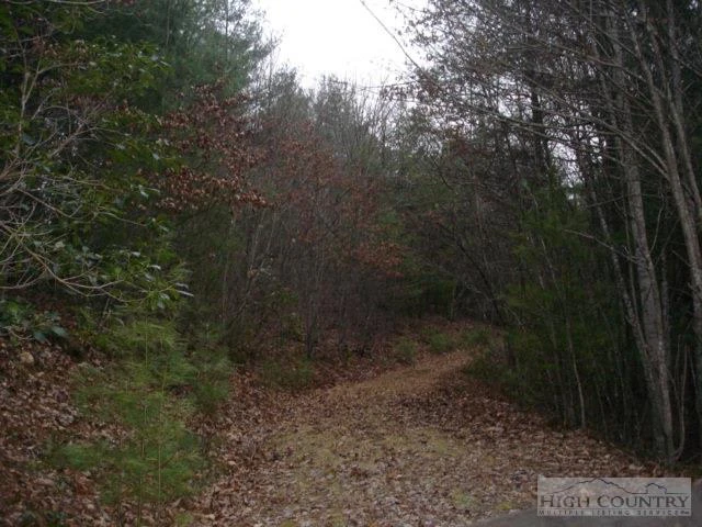 Image number 7 for the current listing