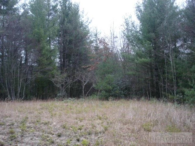 Image number 8 for the current listing